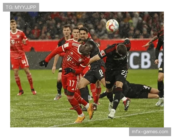 德甲转会窗口亮点：多队补强阵容，竞争格局或将重塑