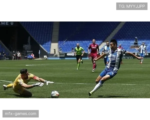 安赛龙每天吃五顿还瘦成闪电，这合理吗？